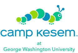 DC summer camps